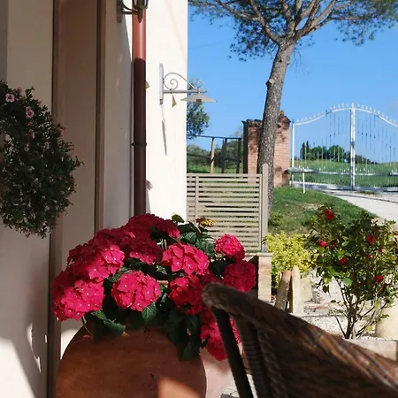 Le Maracla Iesi