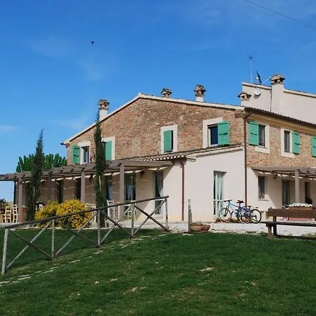 Le Maracla * Iesi