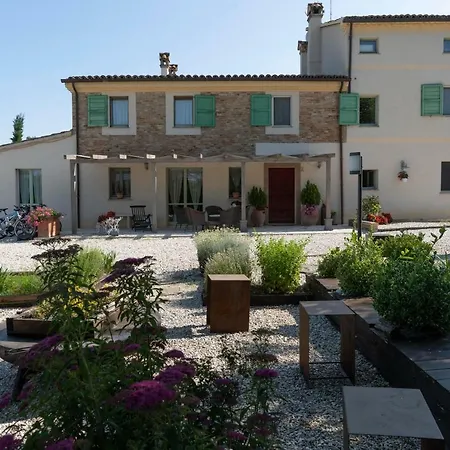 Le Maracla Iesi